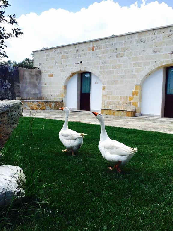 Masseria Pappo Villa โกแปร์ติโน ภายนอก รูปภาพ